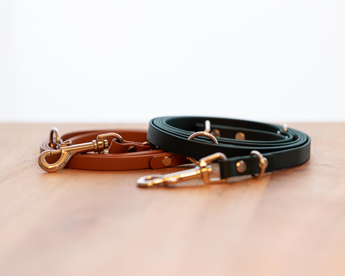 Biothane Führleine Canicompass